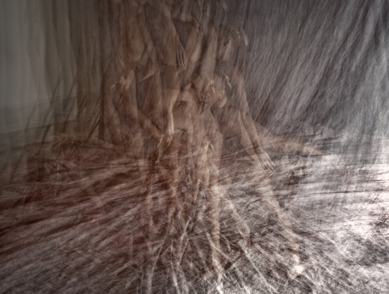Renata Vogl roots